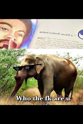 බුකියේ රස කතා අද 😂 | HC Fun Memes 🤣 #sinhala #shorts #memes Episode 2472 #athalmemes #shorts