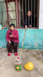 comedy frog 😂😆............................................................... #pregnant #reels #humour #trend #reaction #viral #couple #wife | Raven Blair