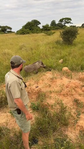 225K views · 4.1K reactions | It’s all happening here today on Imire - let me take you on a REAL ad... | Emerya | Facebook