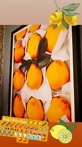 Back 2 #Floridays, 🍋🍋🍋🎤🎤🎤🎸🎸🎸🎪🎪🎪🎠🎠🎠👯🏼‍♀️👯🏼‍♀️👯🏼‍♀️🤸‍♀️🤸‍♀️🤸‍♀️👩🏼‍🎤👩🏼‍🎤👩🏼‍🎤👩🏼‍🏫👩🏼‍🏫👩🏼‍🏫🍧🍧🍧🌊🌊🌊🍊🍊🍊 | Chrissy