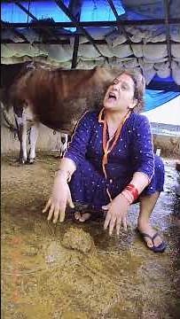 🐄💩Getting poop of cow