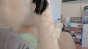 Making sure he feels every inch 🥰 ... A few moments before breaking the bed >:3