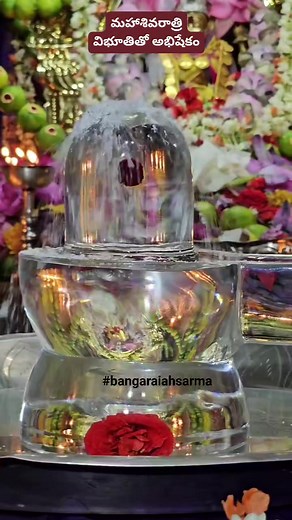 Abhishekam with Vibhuti on the occasion of Mahashivratri #bangaraiahsarma #shivalinga #viral #mahashivratri #maghamasam #mahadev #rudra #MahaShivaratri #shivaratri #trending Bangaraiah Sarma | బ్రహ్మశ్రీ బంగారయ్య శర్మ - Brahmasri Bangaraiah Sarma