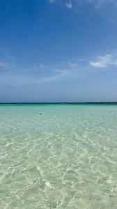 1.2K views | Divi Aruba Phoenix — where paradise meets luxury! ✨...