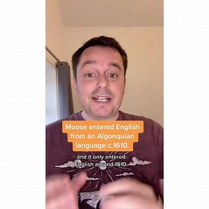 One moose, two meese. Or not. #english #etymology #language #history | Knox Study | Facebook
