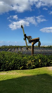 Citrus Tree Pruning and Trimming(Maingay mga Ka fuse🤭). #citrus #trimming #pruning #nature #fbreelsvideo #reelsvideo #Israel #virals #everyone #followers #viralvideo #friends | MaineFuse