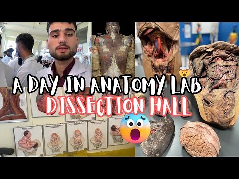 My FIRST Day in Anatomy Lab 😱 | Cadaver Experience 🧠 | MBBS Life Vlog 🩺 | Dissection Hall 🤯#mbbslife