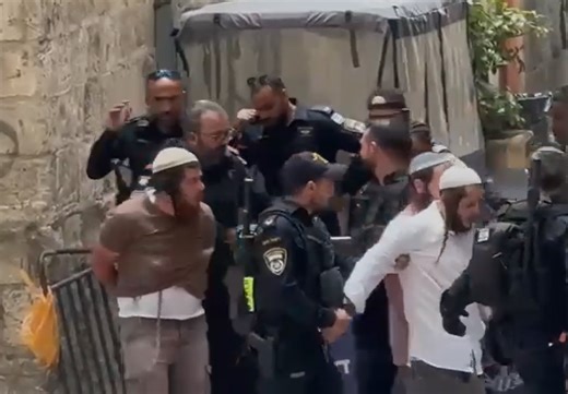 Nine Arrested Attempting To Bring Korban Pesach On Har HaBayis For Pesach Sheini [VIDEO]