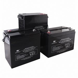 [Hot Item] 6V 100ah Deep Cycle Battery for Solar and Wind Power Storage