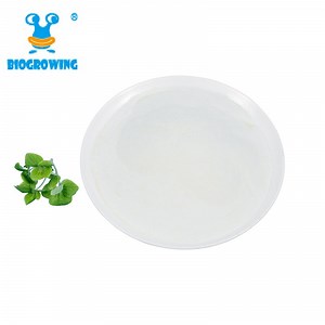 [Hot Item] High Stability OEM/ODM Freeze-Dried Probiotic Powder Lactococcus Lactis Subsp. Cremoris