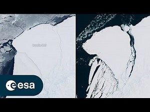 Iceberg Larger than London Breaks Off Antarctica’s Brunt Ice Shelf | ESA Satellite imagery confirms an iceberg around the size of Greater London broke off Antarctica’s Brunt Ice Shelf due to a natural process called ‘calving’. The iceberg, measuring 1550 sq km, detached from the 150 m-thick ice shelf a decade after scientists first spotted massive cracks in the shelf. For more information on the newly-birthed A81 iceberg: https://www.esa.int/Applications/Observing_the_Earth/Copernicus/Giant_iceb