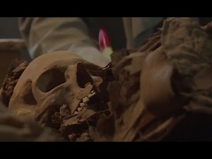 Anthropology of Egyptian Nubian Men