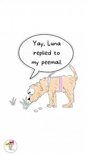 Your dog gets so much information from sniffing. Sniffing urine might seem disgusting to us, but for our dogs it’s telling them everything about who and what’s around them. . . . #letthemsniff #dogsofinstagram #canineeducation #dogtraining #dogtrainersofinstagram #trickwoofscomic #doglovers #dogsniff #dognose #dogsareamazing | Trick Woofs