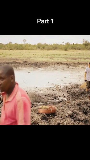 7.5K views · 405 reactions | Rescue the trapped elephant #animal #elephant | Animal Story | Facebook