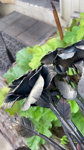 Hand forged roses. As they cool from red hot to black hot the brass bristles from a brass wire brush transferred onto some of my steel roses. Now on to burning in a little beeswax to make a good interior finish . Want to make your own? I now have rose blanks available too. In person by appointment @frontstepforge or online https://frontstepforge.com/search?type=product&q=Rose #everlasting #rose #metalrose #metalflowers #frontstepforge #blacksmith #handmade | Front Step Forge