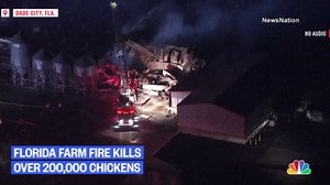 Hundreds of thousands of chickens die in Florida barn fire