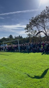 Výukový program pro školu. Krása letu orlů. Yukon a jeho nízký přelet nad žáky🦅😃. | Zayferus - dravci