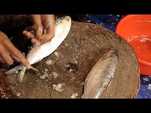 Uzzal Fish Cutting Various types of fish cutting 🐠🐟🐠plese joyan &enyoy my live.#2ufc#fish#vairal.