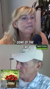 Discover the Best Elm Varieties For a Beautiful, Low Maintenance...