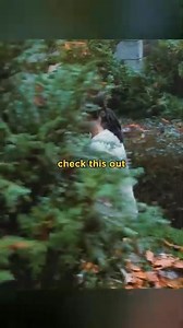 491K views · 2.8K reactions | Watch for more #movies #Netflix Movie name:Dont be afraid of the dark | Movie Night | Facebook