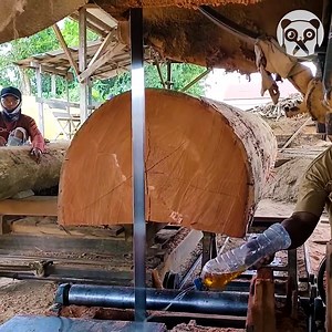 78K views · 380 reactions | The band sawing process of 100 years old wood | Bored Panda Art | Facebook