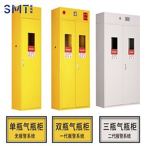 [Hot Item] Premium SMT Gas Cylinder Cabinet for Safe Storage - Made in China