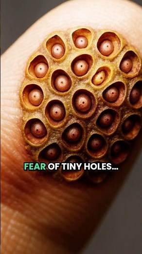 Trypophobia: Why Tiny Holes Make Your Skin Crawl (The Science Will Shock You)