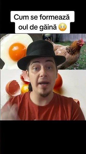 HOW A CHICKEN EGG IS FORMED 😳