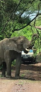 2.4K views · 14 reactions | lake Manyara national park Lake Manyara...