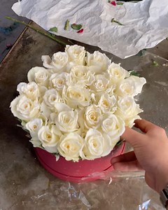 Flower Zone on Reels