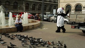 In her face! :))) Nu știu cine o fi tipul, dar pentru porumbei sigur e un prieten adevărat :D #GăsităPeFascinantulInternet Să-i văd cum se mai mișcă după o remorcă de grăunțe... :))) | Trilulilu.ro