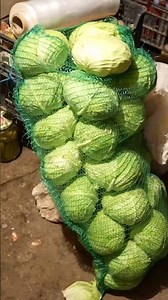 HOW TO KEEP CABBAGE FRESH ALL WINTER – THE SECRET FROM THE WEST ❤️🔥