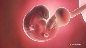 Feticide Definition & Laws