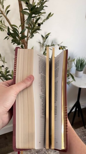 ✨ Giveaway Alert! ✨ The CSB (in)courage Devotional Bible provides resources for women to make meaningful connections, explore the Bible, and find themselves among friends. We love this Bible — and we know you will too! Giveaway Details ✨ Our friends at Lifeway are giving away the (in)courage Devotional Bible. Winners will be randomly selected the week of 12/4 and notified by email! Visit the link to enter giveaway: https://incouragebible.csbible.com/giveaway/ Tag your friends and tell them to en