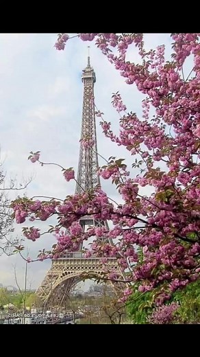 Bella Paris 🇫🇷 | Itália Bella Itália