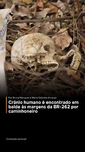 61K views · 1.2K reactions | Conteúdo sensível | Crânio humano foi...