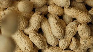 Whole Raw Peanuts Shell Pour Slow: Video có sẵn (100% miễn phí bản quyền) 3761304239 | Shutterstock