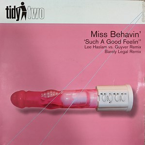 Miss Behavin' - Such A Good Feelin'