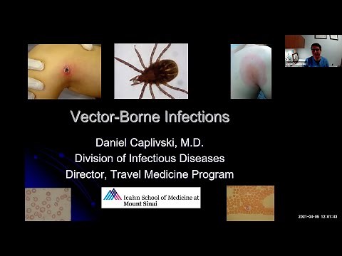 Vector Borne Infections