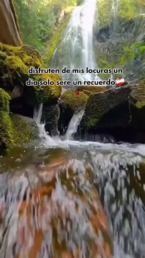 JORDAN VIP no TikTok