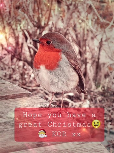 1.1K views · 221 reactions | Stuart Woody Wood on Reels | Facebook