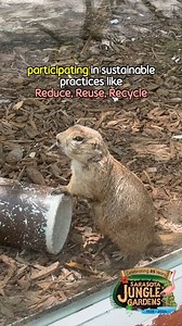 2.2K views · 65 reactions | It's #BeKindtoAnimalsWeek! And here at Sarasota Jungle Gardens, we're celebrating our furry, feathered, and scaly friends in the wild! 列 From our majestic macaws to our playful flamingoes, every creature deserves love and respect. Join us as we spread compassion and awareness for our animal kingdom. Remember, a little kindness goes a long way!  | Sarasota Jungle Gardens | Facebook