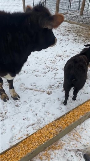 Garrett Farms on Reels