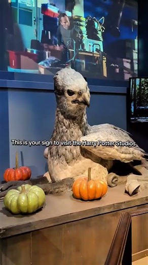 Harry Potter Studios #harrypotterstudiotour