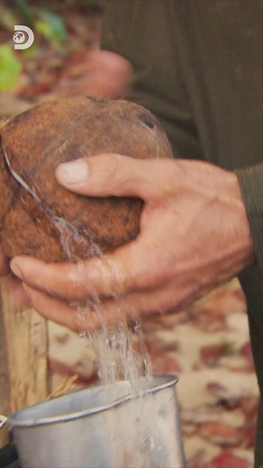 ¿Cómo abrir un coco y hacer leche? #discoverychannel #supervivencia #discovery #aventura #adventure #coconut | Discovery Channel España