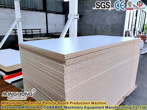 [Hot Item] Melamine Particle Board Press Machine