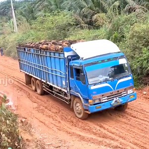 The 6x4 Dump Truck was unable to navigate the slippery slope Part 2 #STUCK #slippery #slipperyslope #mudding #mud #trucking #truckdriver #offroadracing #offroadtrip #offroadadventure #offroadtrucks #offroading | Trojen Ranjo