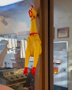 You'll float too on Reels