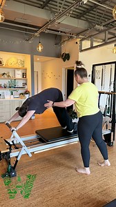 Whole Wellness Physical Therapy & Chiropractic is a beautiful clinic...