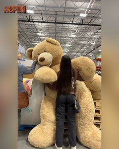 Giant Teddy! | AOPDH